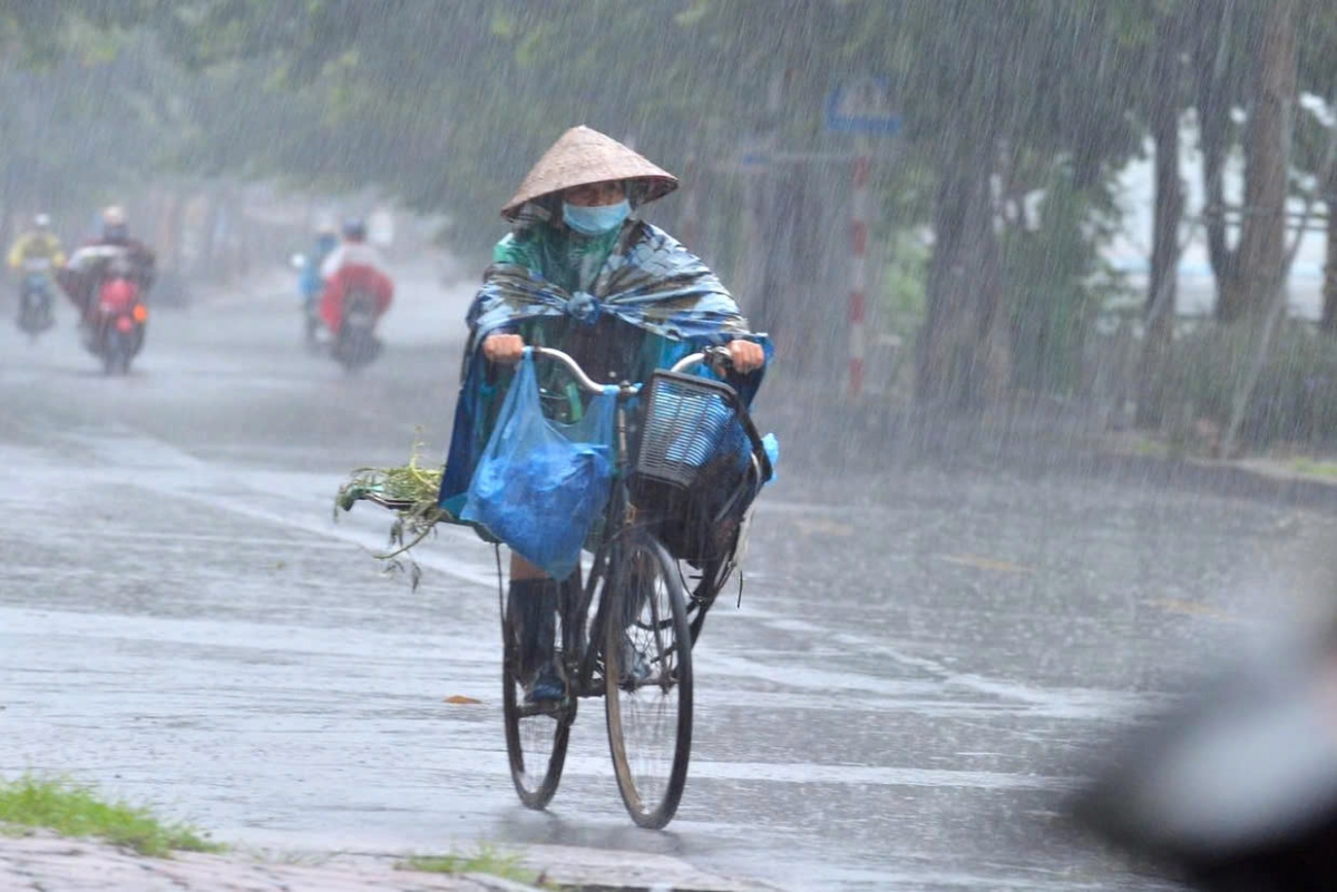 Bắc Bộ và Bắc Trung Bộ có mưa rào vào chiều tối và đêm