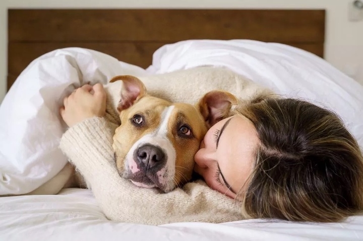 Những "người bạn lông lá" có thể gây rối loạn giấc ngủ của bạn. (Ảnh: Getty)
