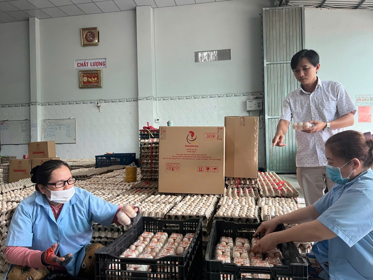 Doanh nghiệp tư nhân tại tỉnh Tiền Giang đang phát triển, tạo ra hàng hóa phục vụ nhu cầu tiêu dùng trong nước và xuất khẩu