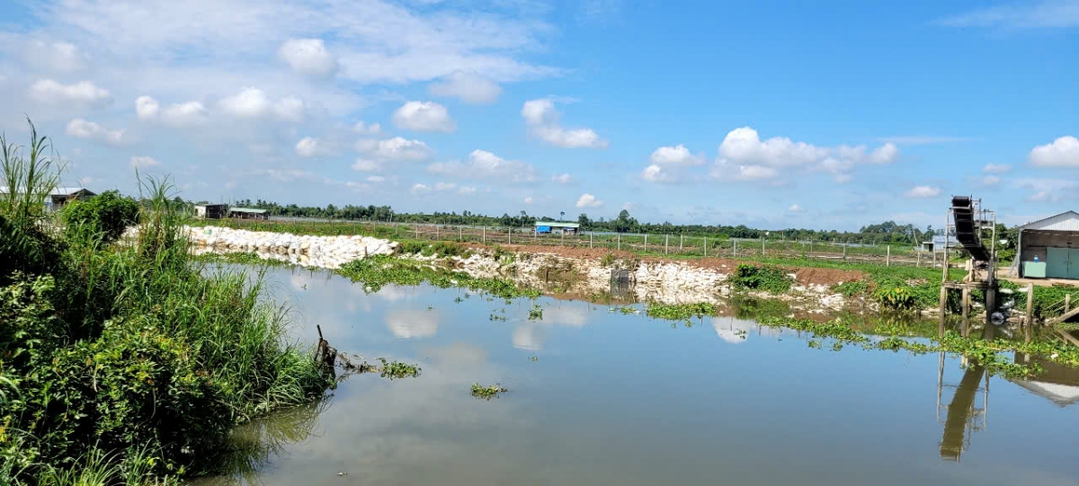 Một đoạn bờ đê của hộ ông Nguyễn Văn Thắng đã được gia cố, mở rộng bằng nguồn đất cát lấy dưới lòng sông