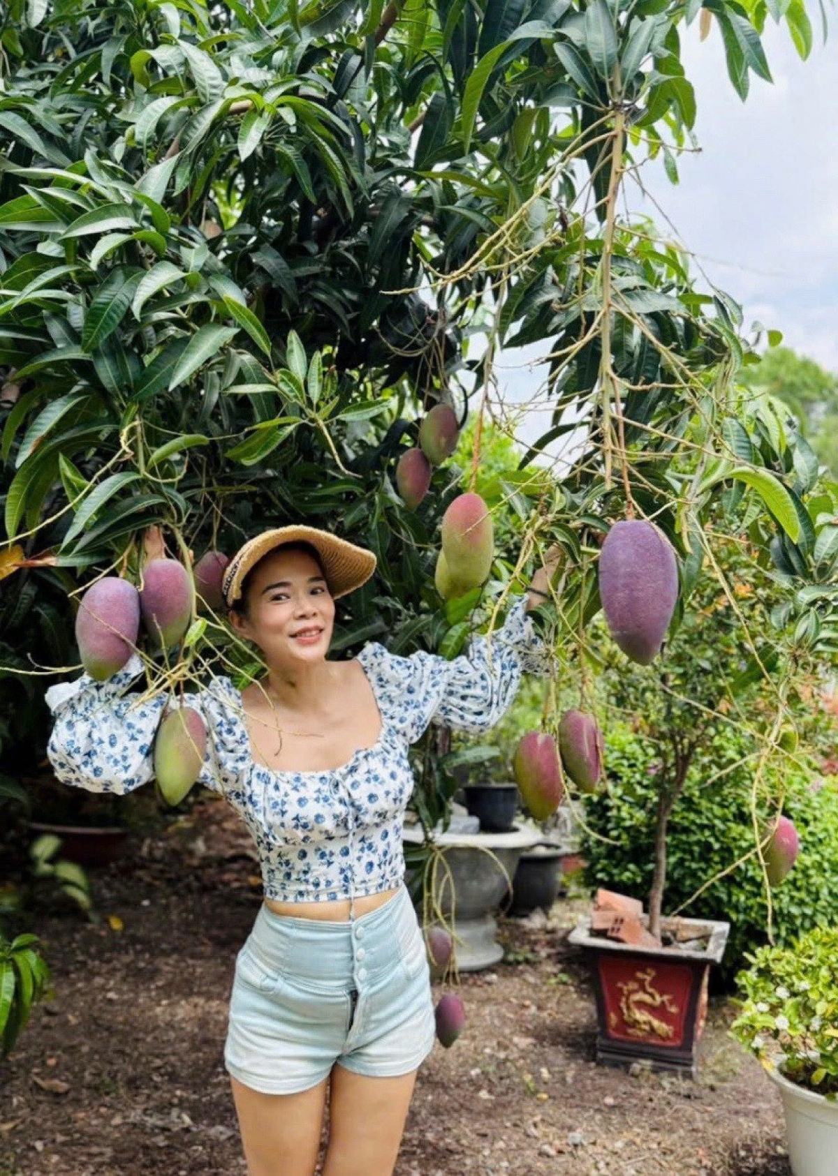 Ca sĩ Mỹ Lệ khoe cây xoài vườn nhà sai trĩu quả. (Nguồn: FBNV)