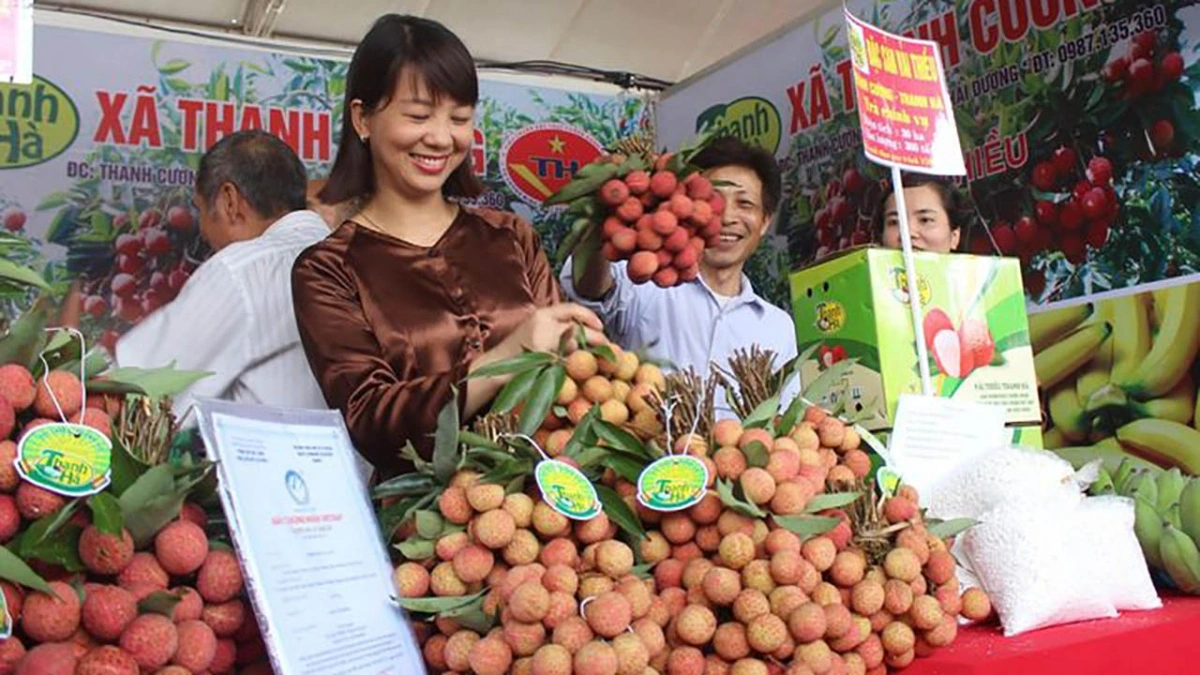 Mùa vải thiều năm 2025 được xem là một trong những vụ được mùa nhất 10 năm trở lại đây