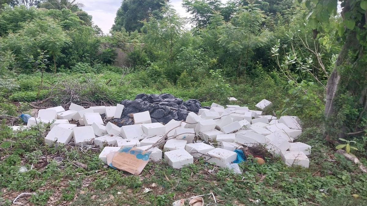 Khu vực phôi xà phòng đổ ven sông khu vực phường Kinh Dinh. Ảnh: B.H