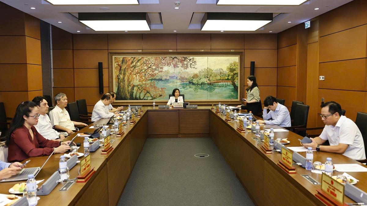 Đại biểu Quốc hội thảo luận tổ, chiều 20/6