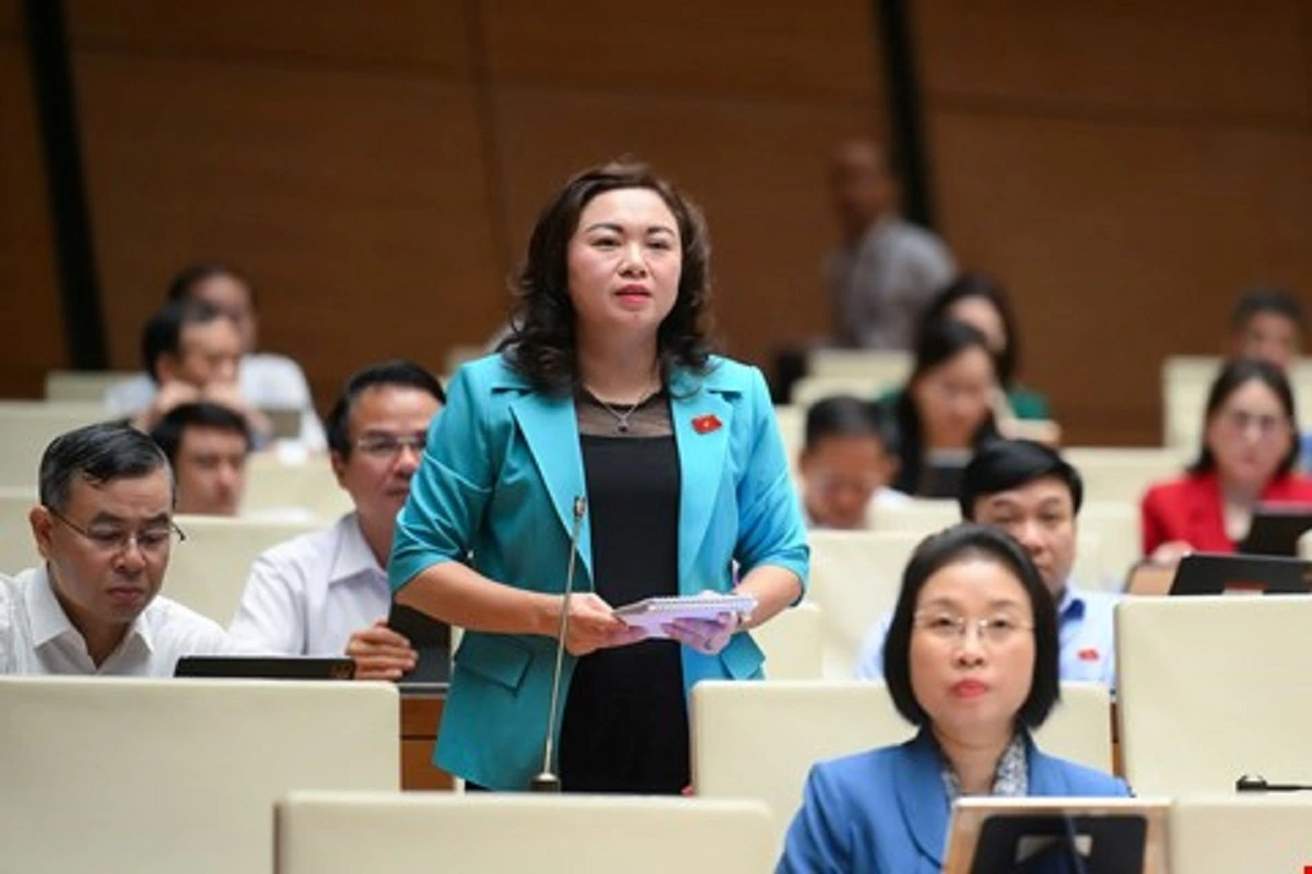 Đại biểu Đặng Bích Ngọc (Đoàn Hòa Bình)
