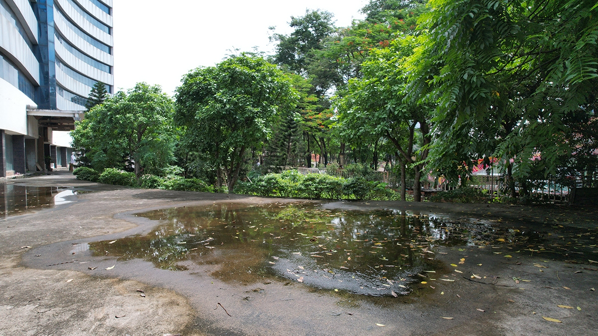 Sau nhiều năm dừng thi công, đến nay dự án này vẫn không có ngày hẹn hoàn thành. Trên nóc tầng hầm đọng đầy nước mưa, tạo thành một vũng nước lớn tù đọng. Nước không thoát rêu mốc bám quanh nền xi măng.