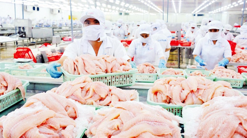 Xuất khẩu cá tra sang Mỹ trong tháng 5/2025 đạt 41 triệu USD, tăng 35% so với tháng 5/2024 - Ảnh: Vasep