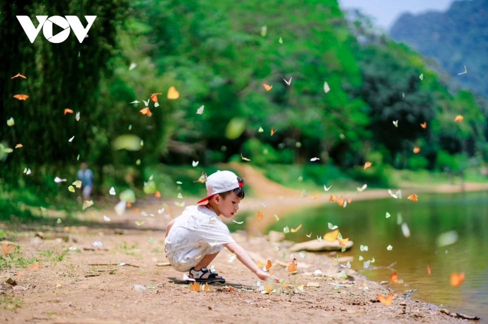Cuc Phuong National Park has been named as Asia’s Leading National Park 2024 by World Travel Awards. This marks the sixth consecutive year since 2019 that the park, which is also the country’s largest Nature Reserve, has been awarded this title.