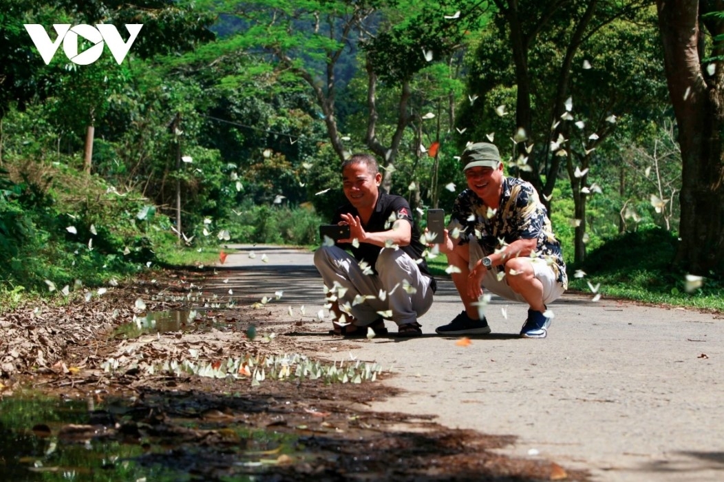 Scientists have identified over 400 butterfly species in the area, with millions of individuals creating a vibrant and picturesque atmosphere, particularly during the peak of butterfly season.