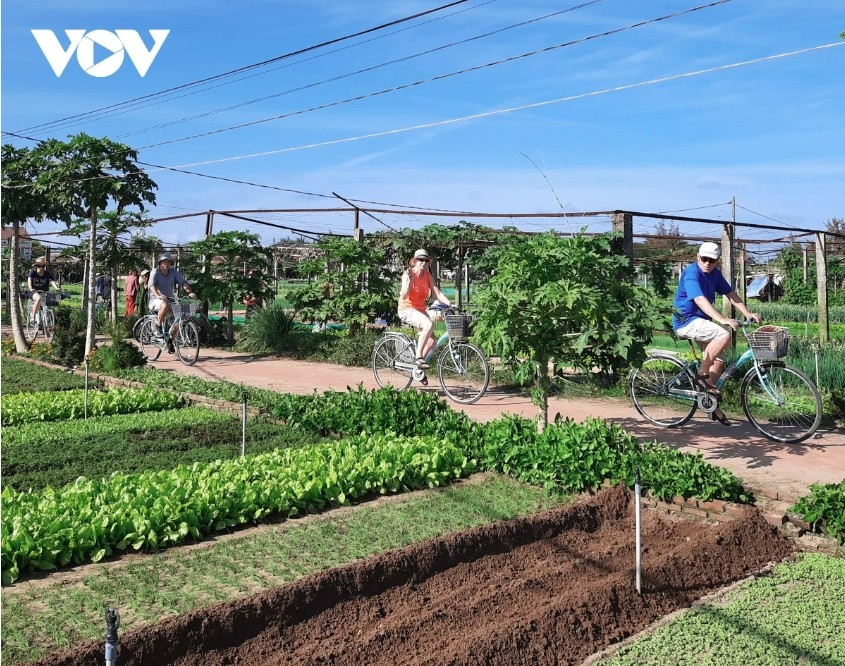 A cycling tour in Hoi An