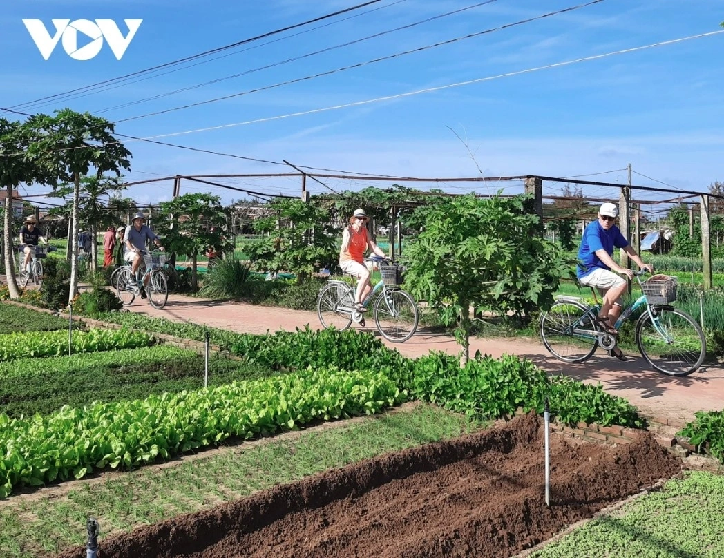 Foreign tourists keen to explore a healthy farm lifestyle in Hoi An.