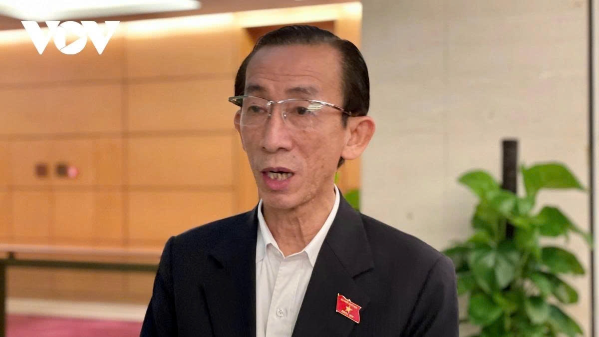 Đại biểu Quốc hội Trần Hoàng Ngân (Đoàn Thành phố Hồ Chí Minh)