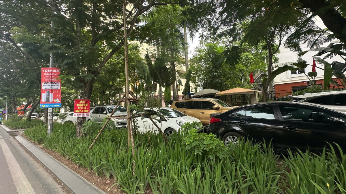 Vỉa hè tại đây được thiết kế, phía ngoài là dải bồn hoa, bên trong là đường dành cho người đi bộ có lắp rào chắn chống phương tiện đi vào.