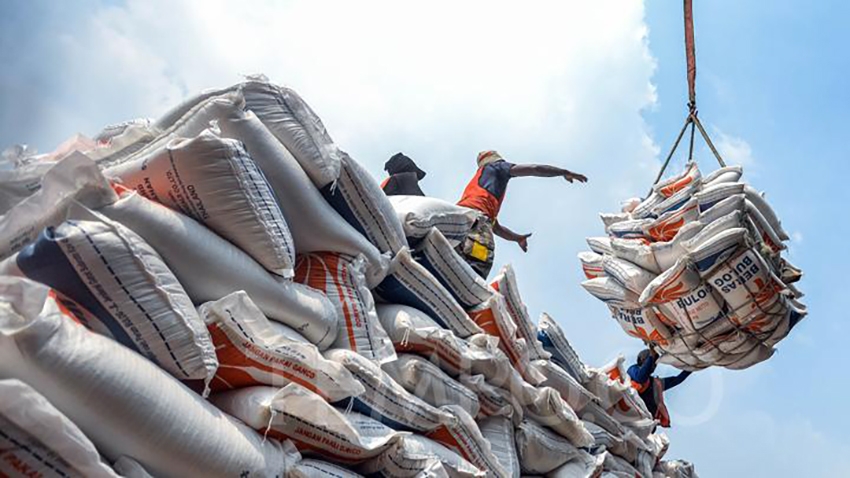 Dự trữ gạo của Indonesia với dự báo sản lượng đạt 35,6 triệu tấn, vượt xa mục tiêu quốc gia là 32 triệu tấn -
Ảnh: Tempo