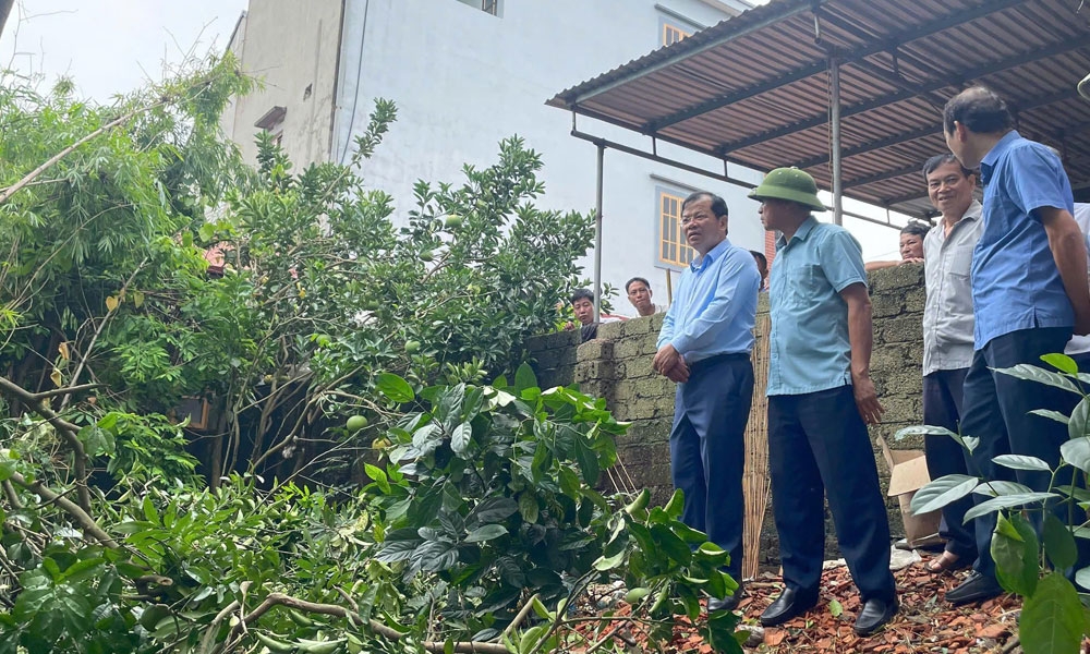 Phó Chủ tịch UBND tỉnh Bắc Giang Phan Thế Tuấn kiểm tra khu vực ngập lụt, sạt lở thuộc thôn Đại Tân, xã Sơn Thịnh (Hiệp Hòa)