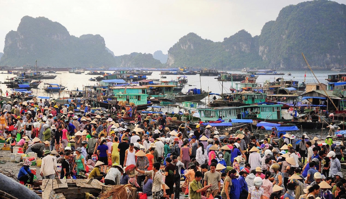 Hạ Long cũng bình dị với khung cảnh trên bến dưới thuyền, khi ngư dân rộn ràng trở về mang theo khoang thuyền tươi rói. Những loại hải sản độc đáo cũng tạo nên thương hiệu ẩm thực của nơi đây như chả mực Hạ Long, ngán, hà, tu hài, bề bề, cù kỳ… (Ảnh: Buổi sớm ở bến cá Cột 5 năm 2013, nay đã được quy hoạch ở khu vực khác phù hợp hơn)