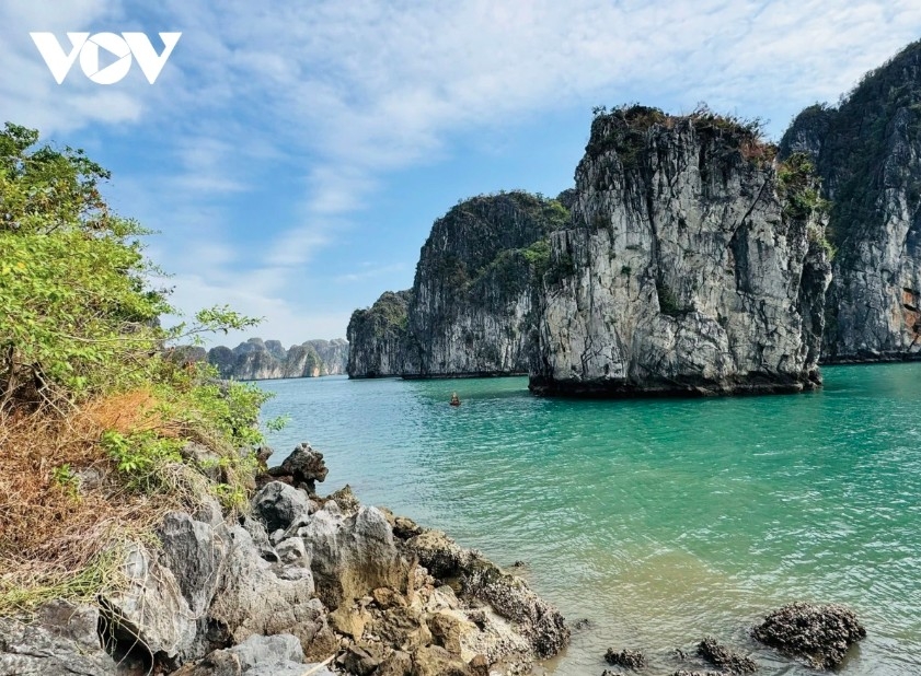 Ha Long Bay in the northern province of Quang Ninh