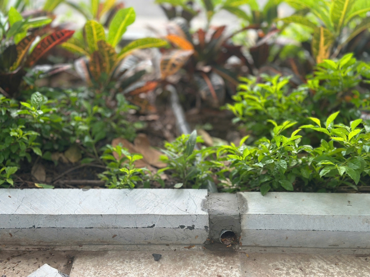 Dọc vỉa hè có rất ít đường ống thoát nước ra ngoài như thế này.