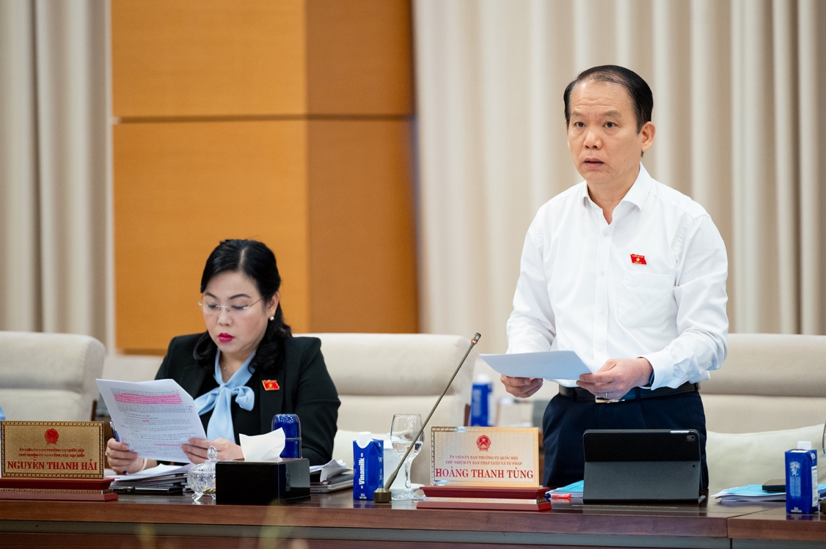 Chủ nhiệm Ủy ban Pháp luật và Tư pháp Hoàng Thanh Tùng