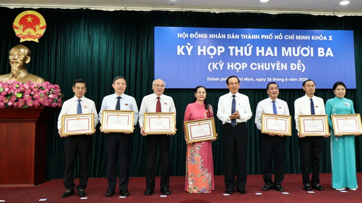 Bí thư Thành ủy Nguyễn Văn Nên trao bằng khen cho bà Nguyễn Thị Lệ và các cá nhân (ảnh Như Ý)