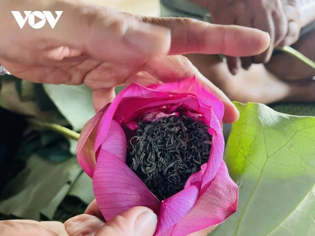 The lotus tea making art in West Lake also draws much attention from tourists during their trip to the capital.