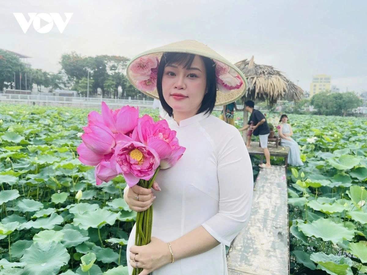 West Lake lotuses are not only visually beautiful but also evoke a sense of peace and serenity, helping people relax and temporarily forget the worries of daily life.