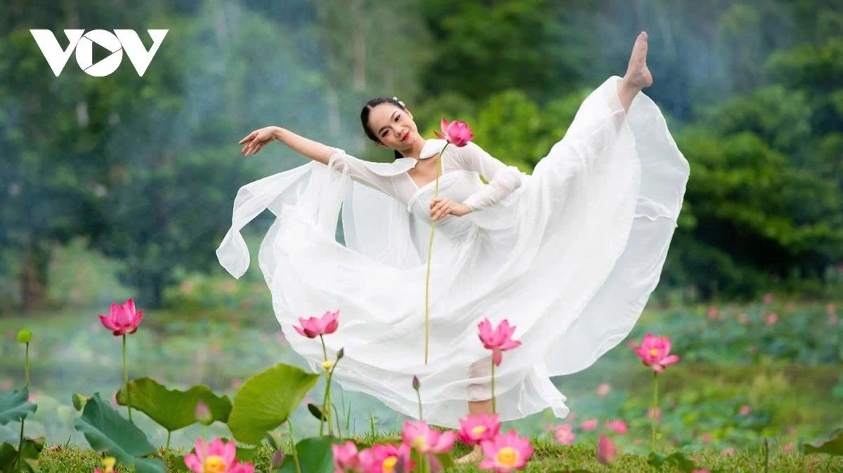 The place has become a popular attraction for young travelers and photographers alike, all eager to capture the unforgettable moments among the blooming lotuses.