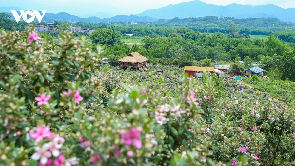 Mai Chau Valley