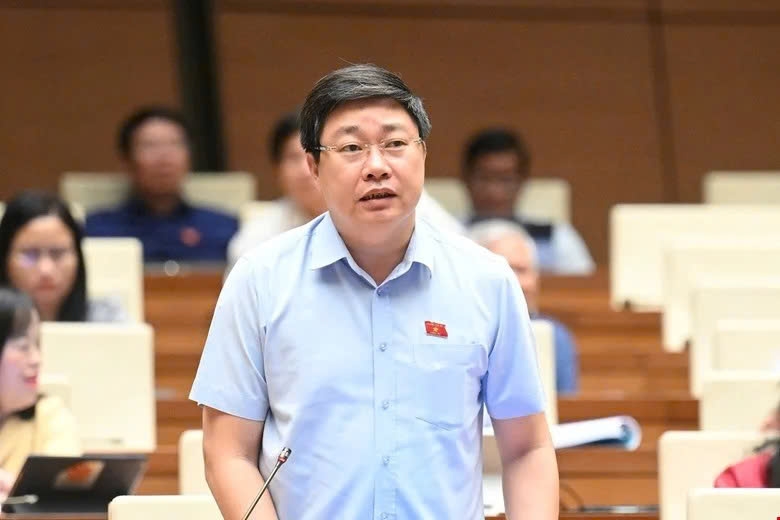 Đại biểu Mai Khanh (Đoàn Ninh Bình). (Ảnh: Quốc hội)