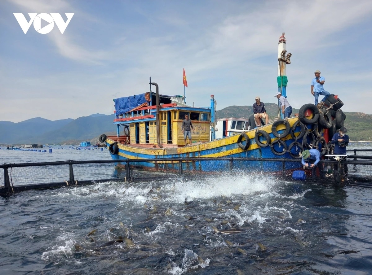 Tỉnh Khánh Hòa đang chuyển đổi các mô hình nuôi trồng thủy sản từ lạc hậu sang hiện đại