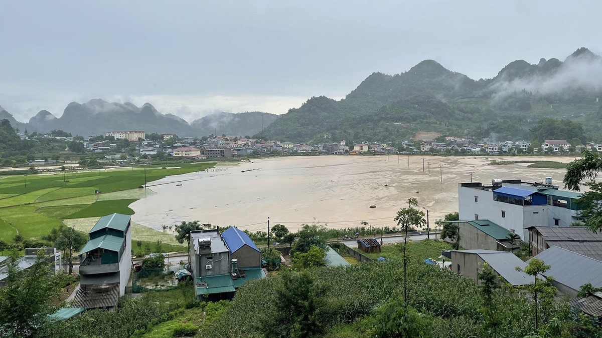 Nhiều diện tích lúa mạ mới gieo bị ngập nước.