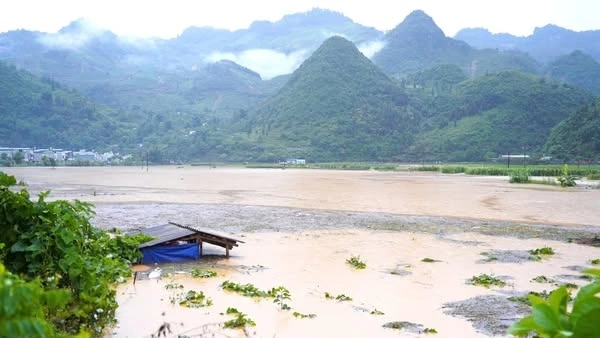 Khoảng 20 ha hoa màu của bà con bị ngập trong nước