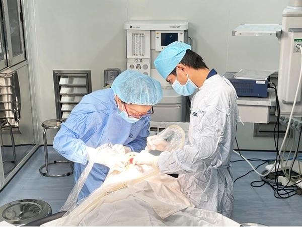Implant đòi hỏi kỹ thuật phức tạp nên có mức chi phí khá cao
