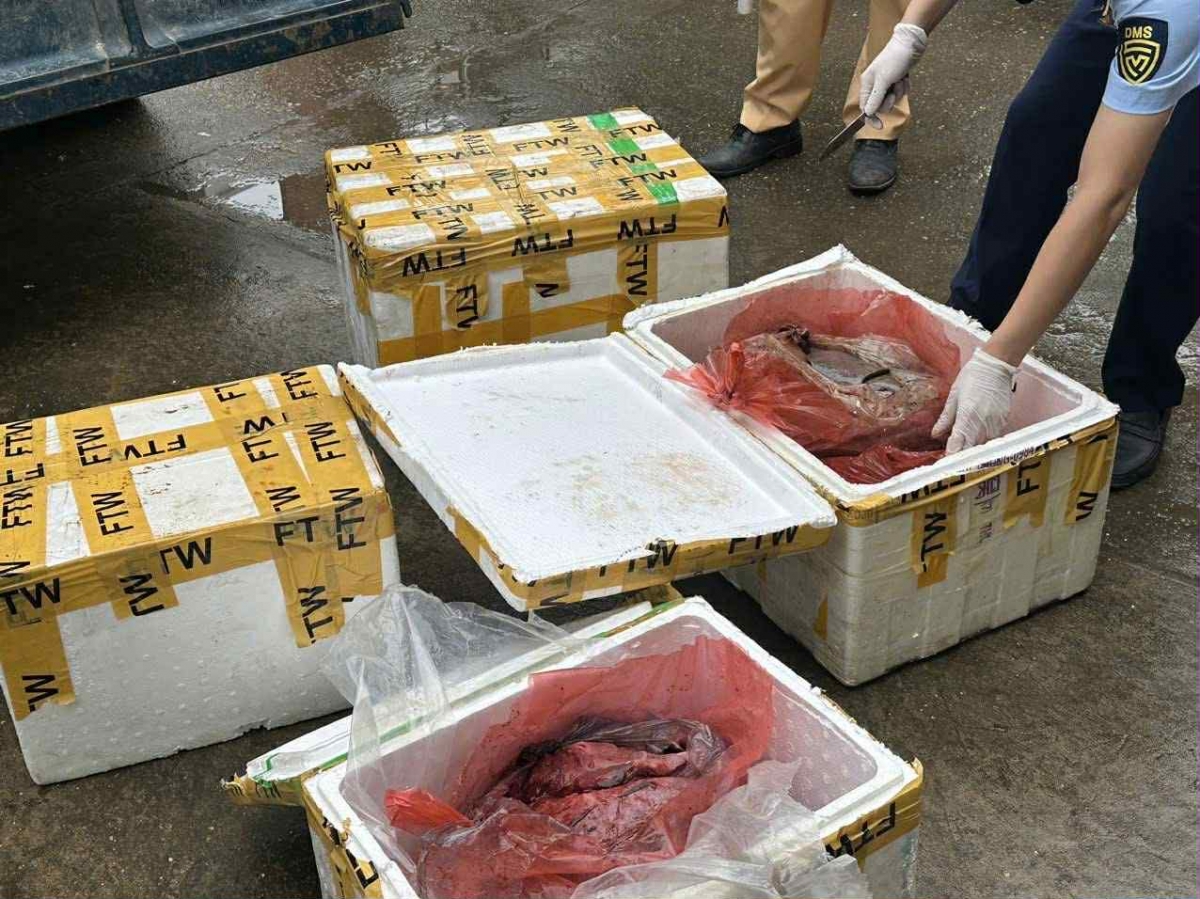 4 thùng xốp chứa nội tạng động vật đang bốc mùi hôi thối. Ảnh: CATP
