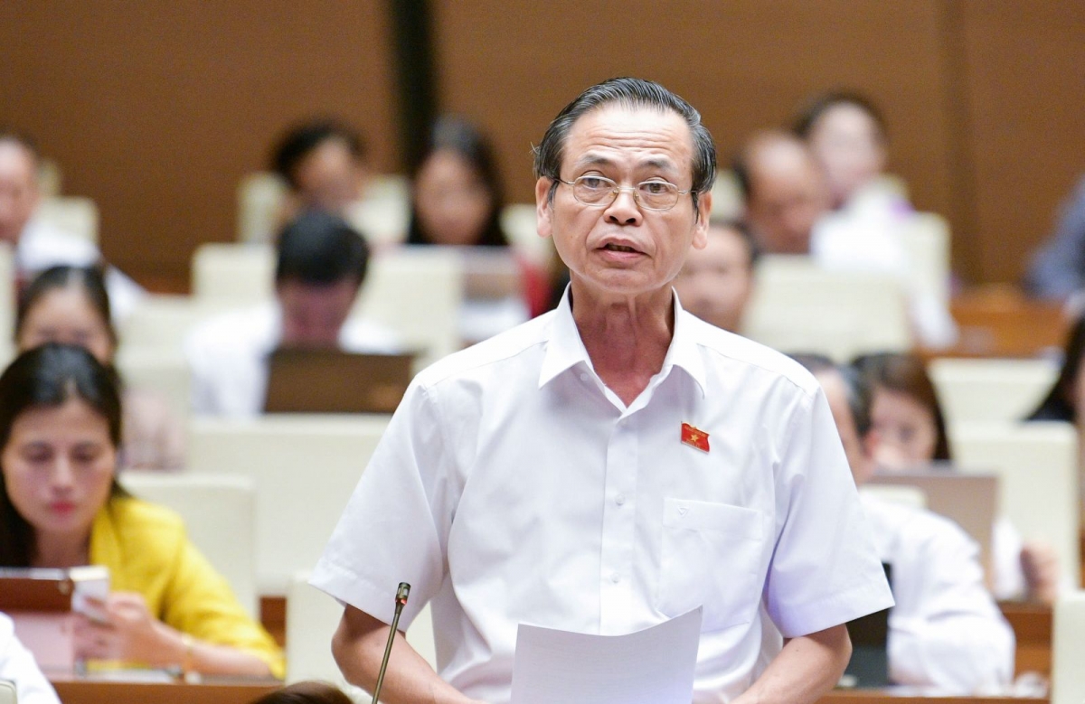 Đại biểu Trần Hữu Hậu (đoàn Tây Ninh) phát biểu.