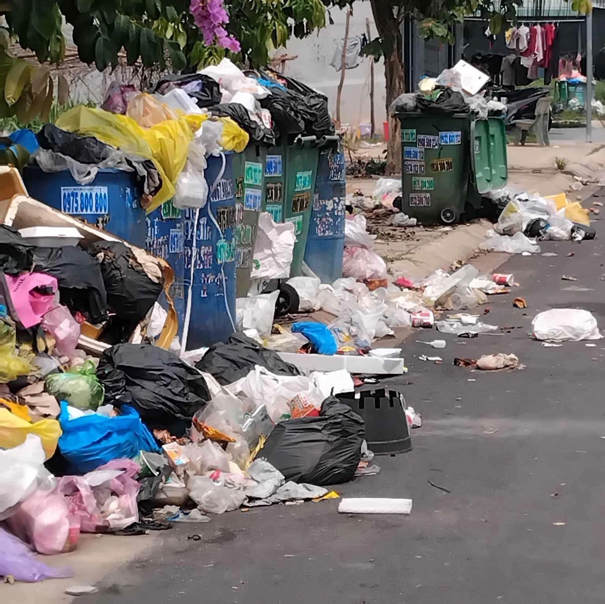  Rác thải đổ khắp nơi