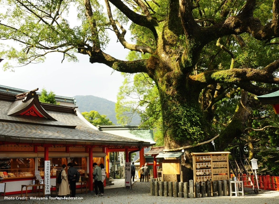 Đền Kumano Nachi Taisha. Nguồn: Wakayama Tourism Federation