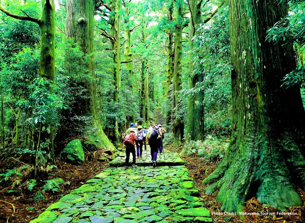 Khách tham quan trên tuyến đường Kumano Kodo. Nguồn: Wakayama Tourism Federation