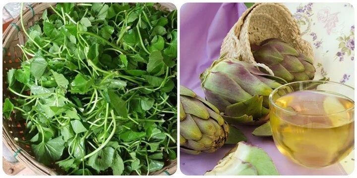 Rau má và bông atiso có tác dụng thải độc gan rất hiệu quả