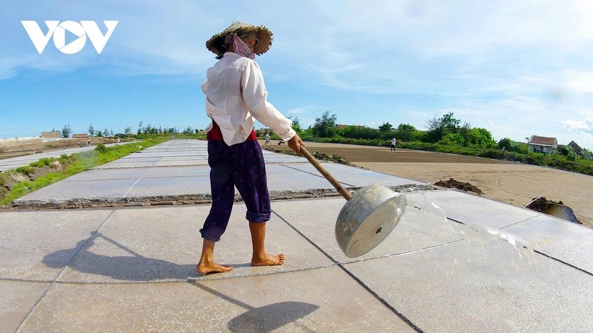 The more sunlight the fields receive, the quicker the evaporation process and the more efficient the salt harvest becomes.
