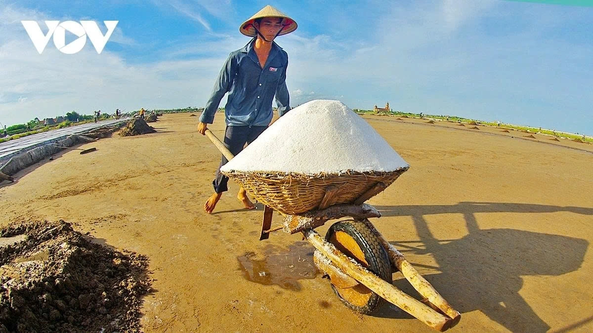 Despite grueling conditions, salt making remains the primary source of income for many families, fueling their determination to endure the hardships.