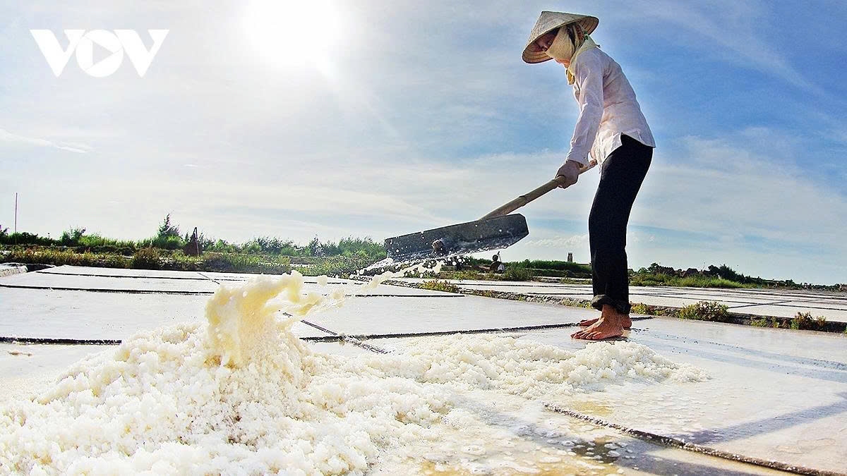 Most of the salt farmers are middle-aged women. To shield themselves from the harsh sun and heat, they wear full protective clothing, including long sleeves, gloves, facemasks, and the ever-present conical hat.