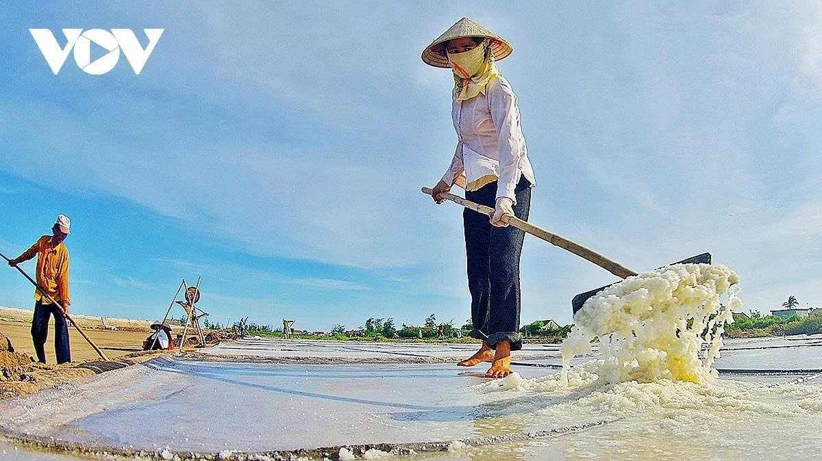 For salt makers, the day begins before sunrise. As the midday sun scorches the land, salt farmers continue their labour, relying on the heat to draw salt from the sea.