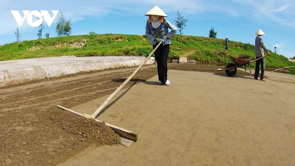 Salt making is a laborious, weather-dependent process that demands resilience, precision, and patience from its workers.