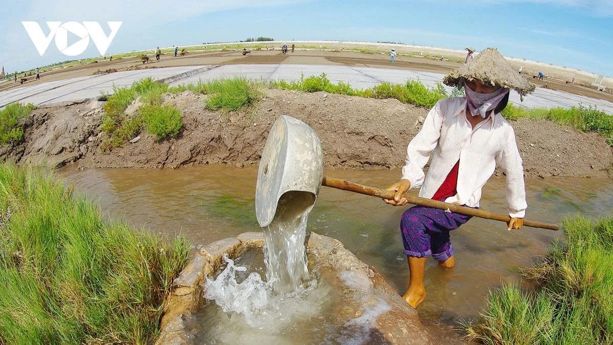Seawater is pumped into wide, shallow fields and left under the open sky. Slowly, the sun begins its work, evaporating the water and leaving salt behind.