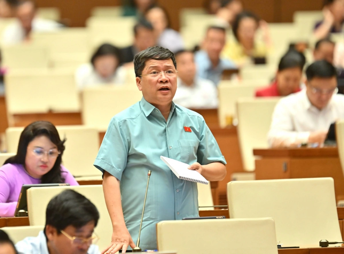 Đại biểu Tạ Văn Hạ (đoàn Quảng Nam).