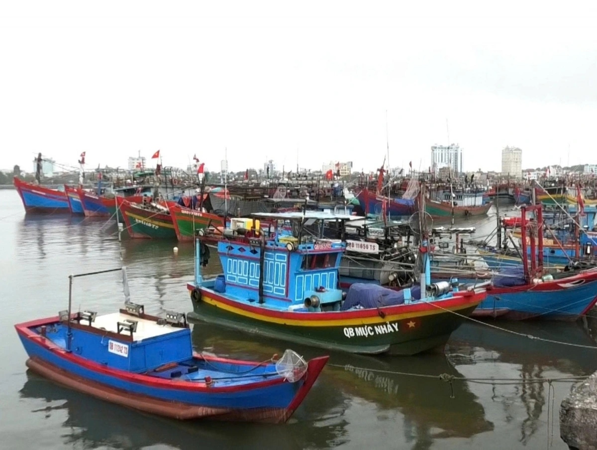 Tàu, thuyền đánh cá neo đậu an toàn trên sông Nhật Lệ