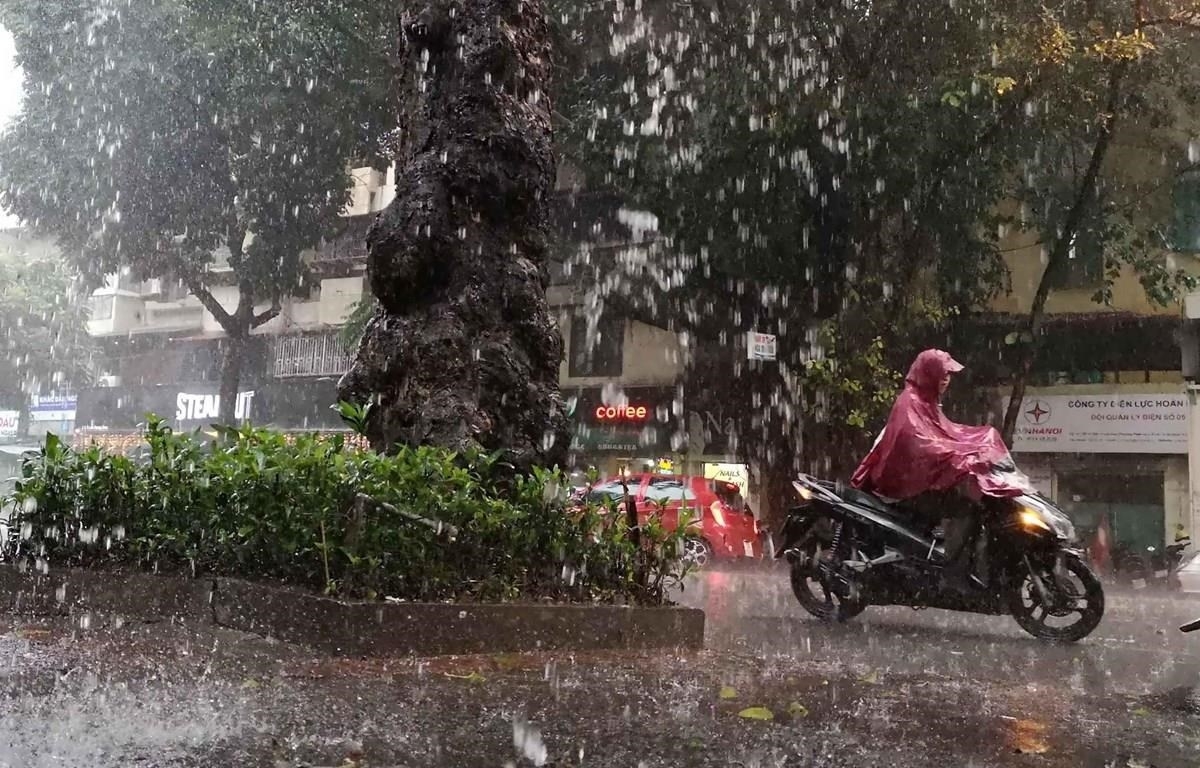 Trung du và đồng bằng Bắc Bộ có mưa rào và dông rải rác