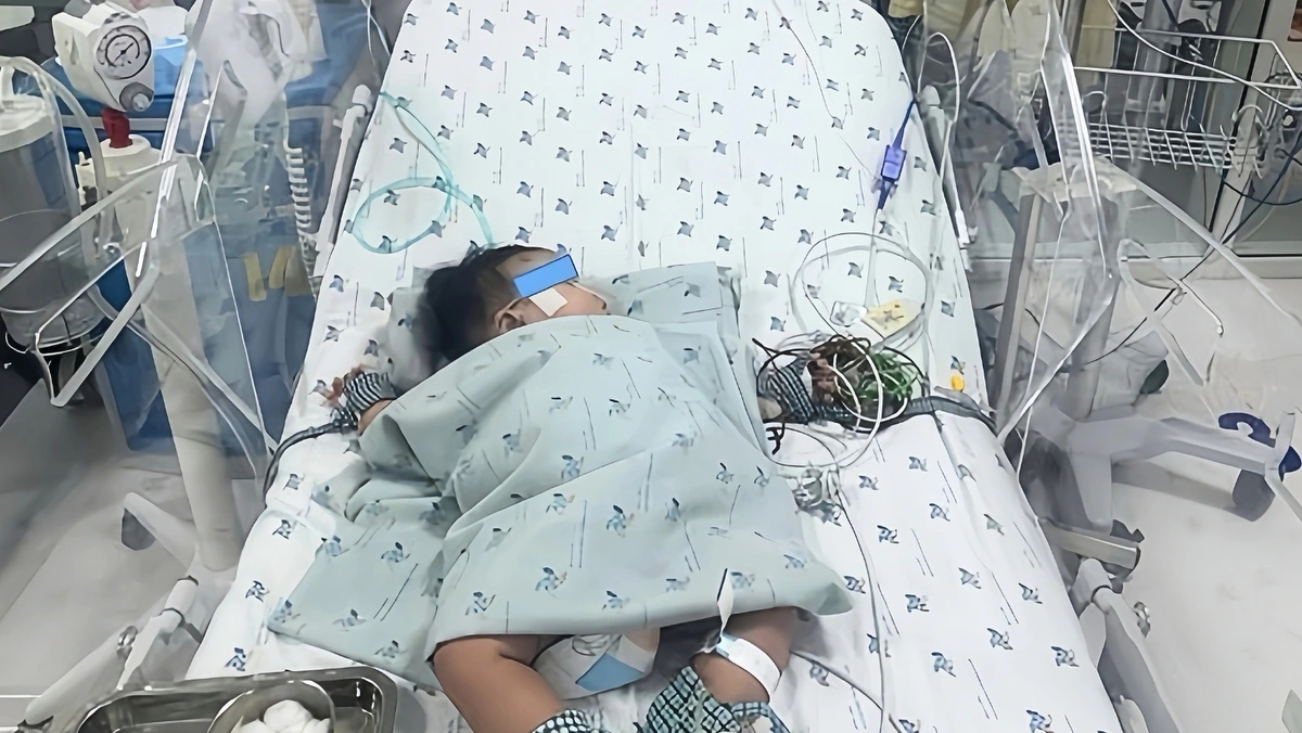 Trẻ nhũ nhi 4,5 tháng tuổi bị sốc sốt xuất huyết, rối loạn đông máu nặng vừa được cứu sống
(Ảnh: Bệnh viện Nhi đồng Thành phố)