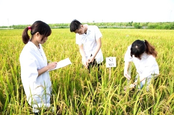 Viện nghiên cứu khoa học cơ bản trước khi chuyển giao nghiên cứu cho doanh nghiệp